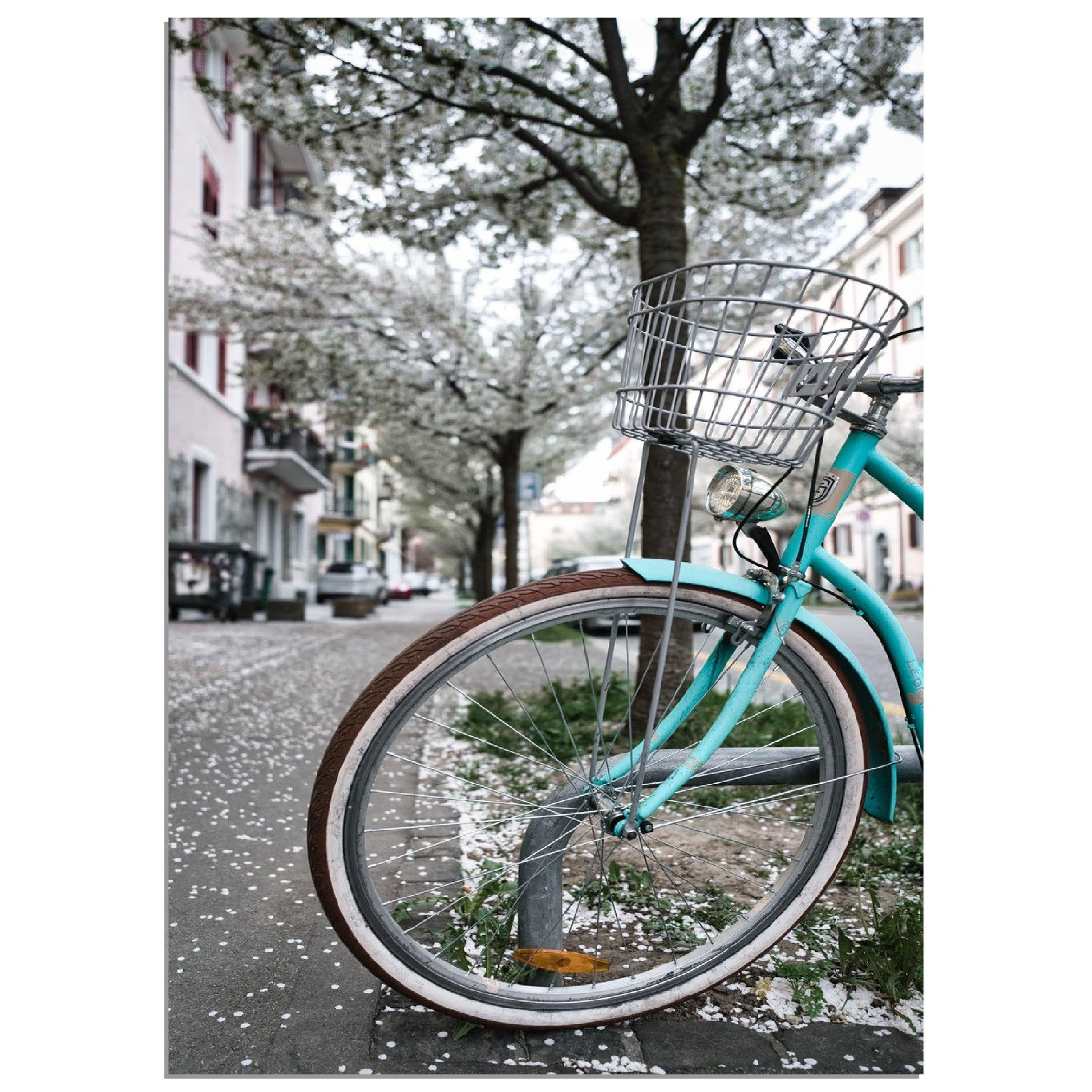 Zürichs Frühling Velo Gefühle - Printree.ch alt, architektur, blau, blick, brücke, eifach-züri, europa, europäisch, fluss, gebäude, grossmünster, innenstadt, kathedrale, kirche, limmat, panorama, reisen, schweiz, schweizer, see, skyline, stadt, stadtbild, strasse, tourismus, turm, urban, wahrzeichen, zürich