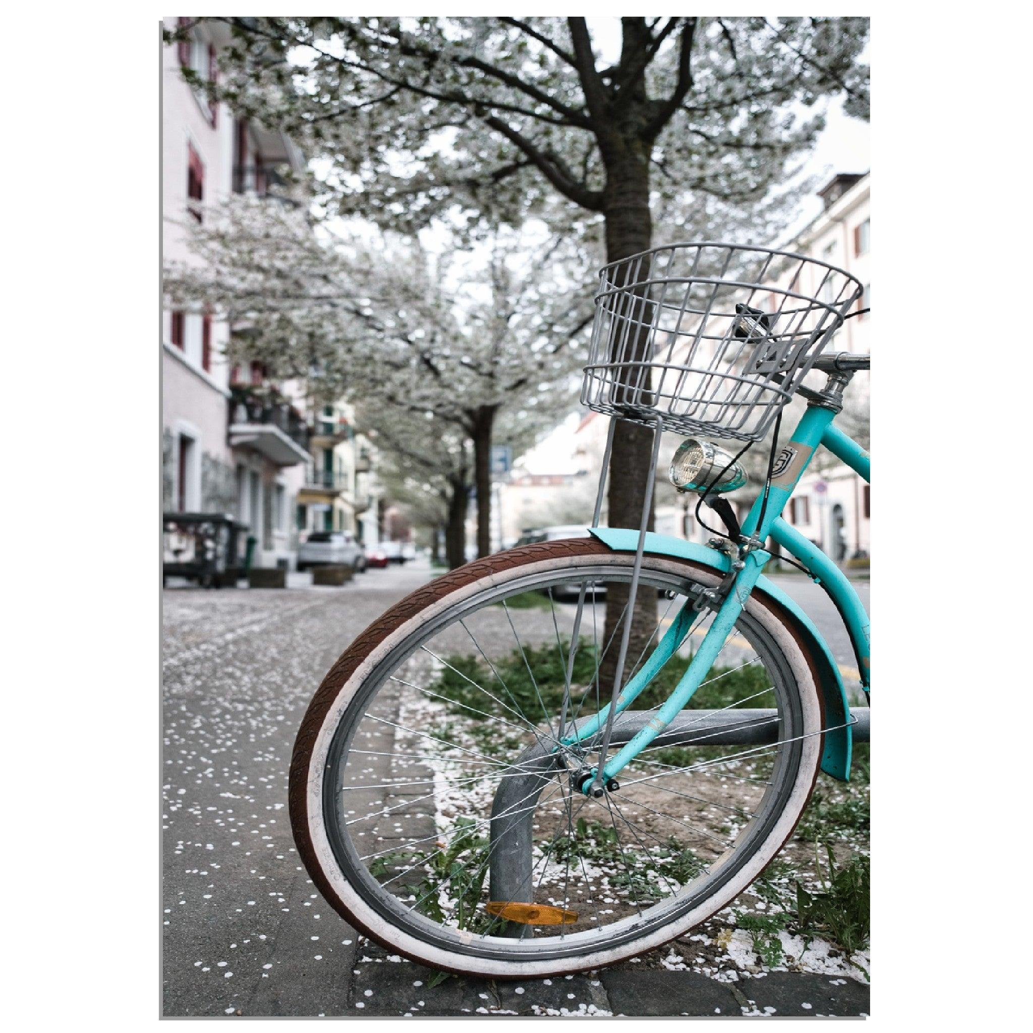 Zürichs Frühling Velo Gefühle - Printree.ch alt, architektur, blau, blick, brücke, eifach-züri, europa, europäisch, fluss, gebäude, grossmünster, innenstadt, kathedrale, kirche, limmat, panorama, reisen, schweiz, schweizer, see, skyline, stadt, stadtbild, strasse, tourismus, turm, urban, wahrzeichen, zürich