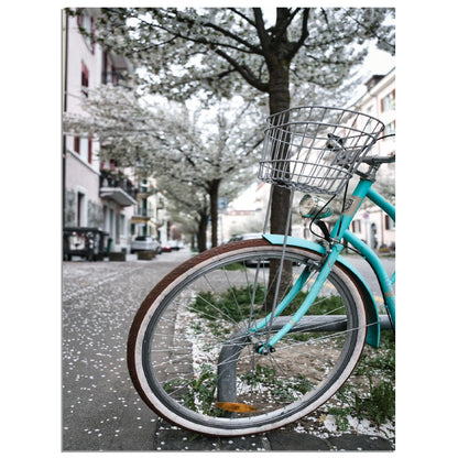 Zürichs Frühling Velo Gefühle - Printree.ch alt, architektur, blau, blick, brücke, eifach-züri, europa, europäisch, fluss, gebäude, grossmünster, innenstadt, kathedrale, kirche, limmat, panorama, reisen, schweiz, schweizer, see, skyline, stadt, stadtbild, strasse, tourismus, turm, urban, wahrzeichen, zürich