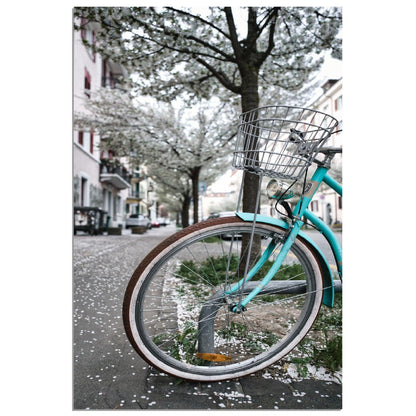 Zürichs Frühling Velo Gefühle - Printree.ch alt, architektur, blau, blick, brücke, eifach-züri, europa, europäisch, fluss, gebäude, grossmünster, innenstadt, kathedrale, kirche, limmat, panorama, reisen, schweiz, schweizer, see, skyline, stadt, stadtbild, strasse, tourismus, turm, urban, wahrzeichen, zürich