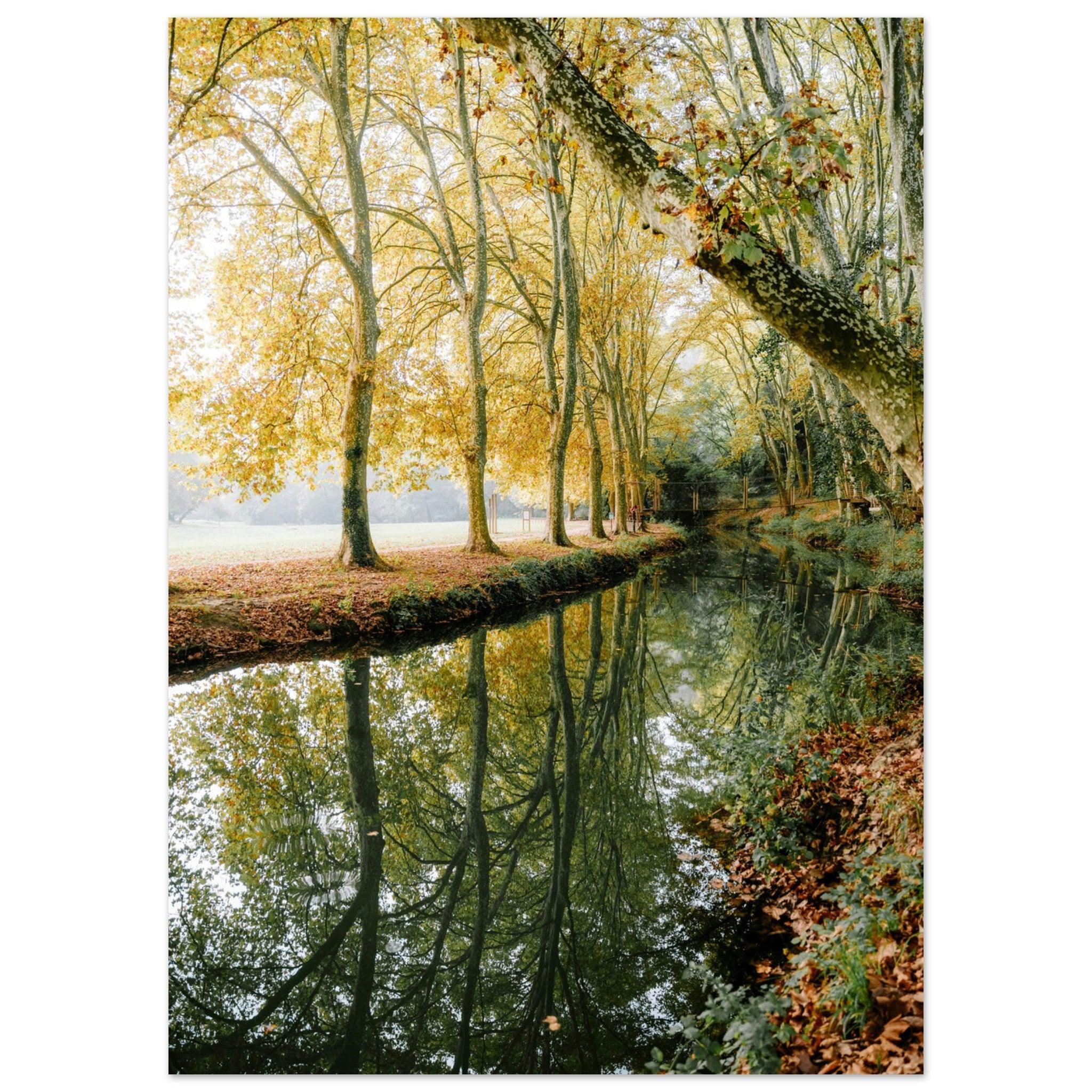 Zwielicht am Uzès-Strand - Printree.ch Natur, Unsplash