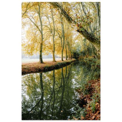 Zwielicht am Uzès-Strand - Printree.ch Natur, Unsplash