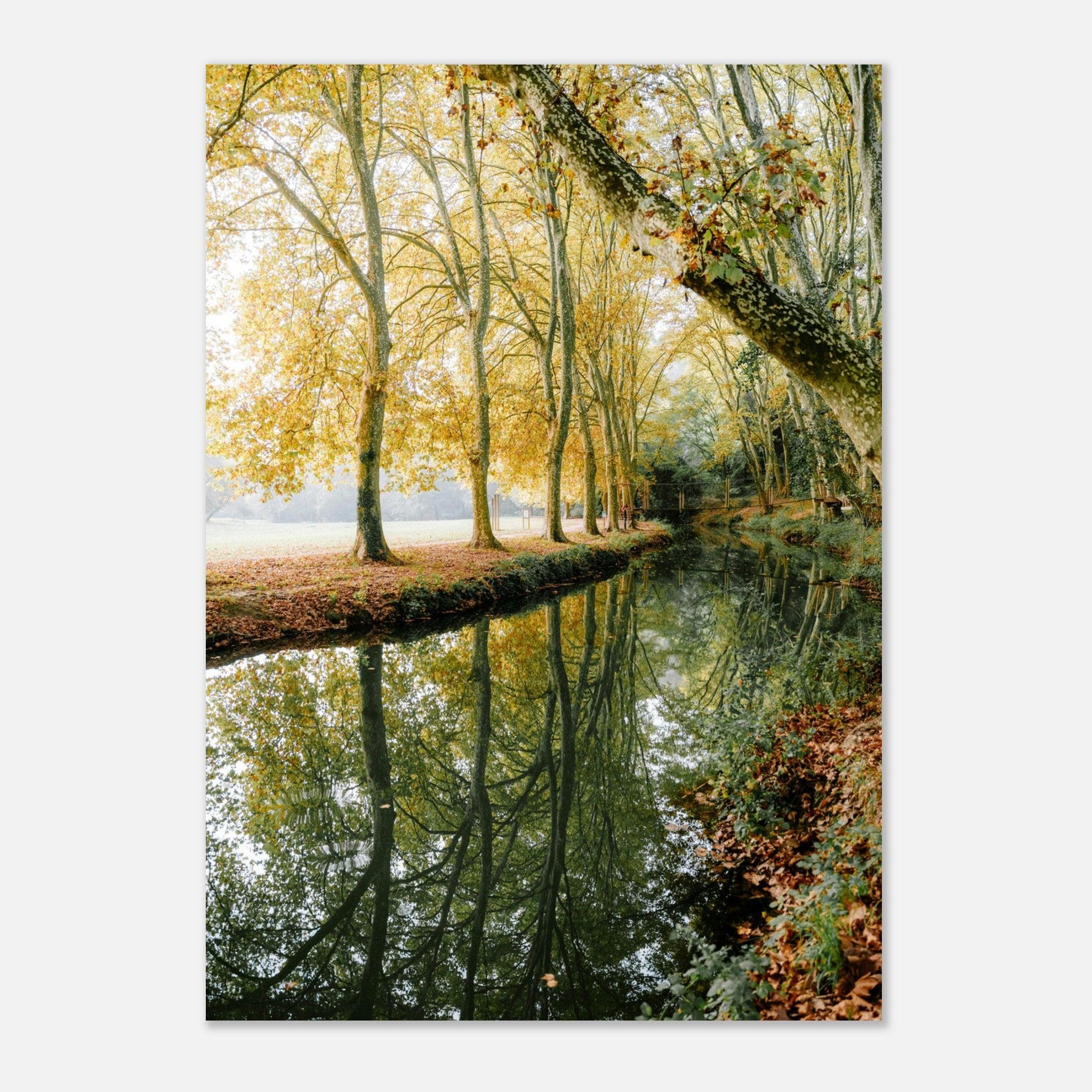 Zwielicht am Uzès-Strand - Printree.ch Natur, Unsplash