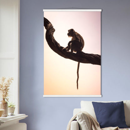 Affe - Printree.ch Fotografie, Portrait Tier, Tier, Tiere, Wildtiere