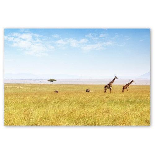 Afrika und Giraffen - Printree.ch afrika, afrikanisch, busch, Foto, Fotografie, giraffa, giraffe, gross, hals, himmel, im freien, kenia, kenya safari, kopf, landschaft, muster, natur, pflanzenfresser, porträt, reisen, safari, savanne, sonnenuntergang, säugetier, tansania, tier, tourismus, wild, wildnis, wildtiere