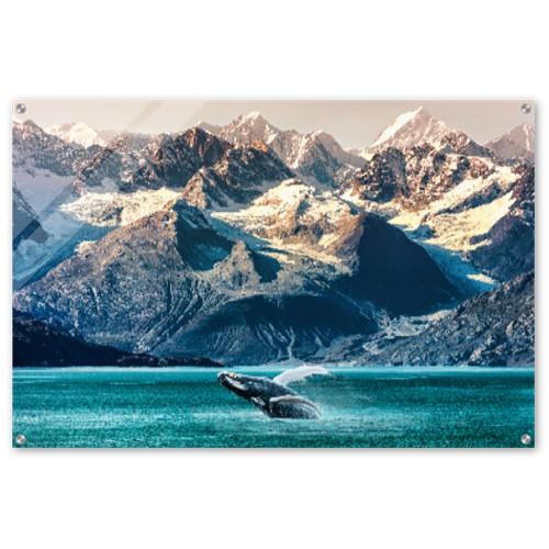 Alaska Wale - Printree.ch Foto, Fotografie
