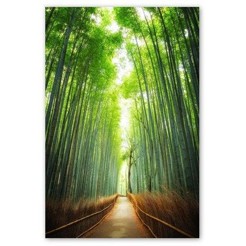 Bambushain in Kyoto - Printree.ch arashiyama, asiatisch, asien, bambus, baum, berühmt, garten, grün, hain, hintergrund, im freien, japan, japanisch, kultur, kyoto, natur, natürlich, platz, sagano, straße, szene, tag, umwelt, wahrzeichen, wald, weg, zaun, zen
