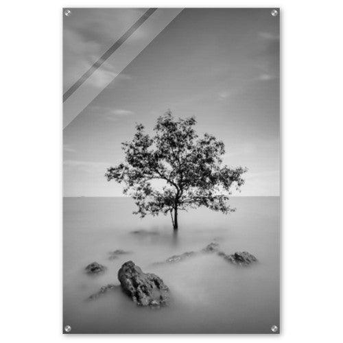 Baum im See Schwarz-Weiss - Printree.ch 