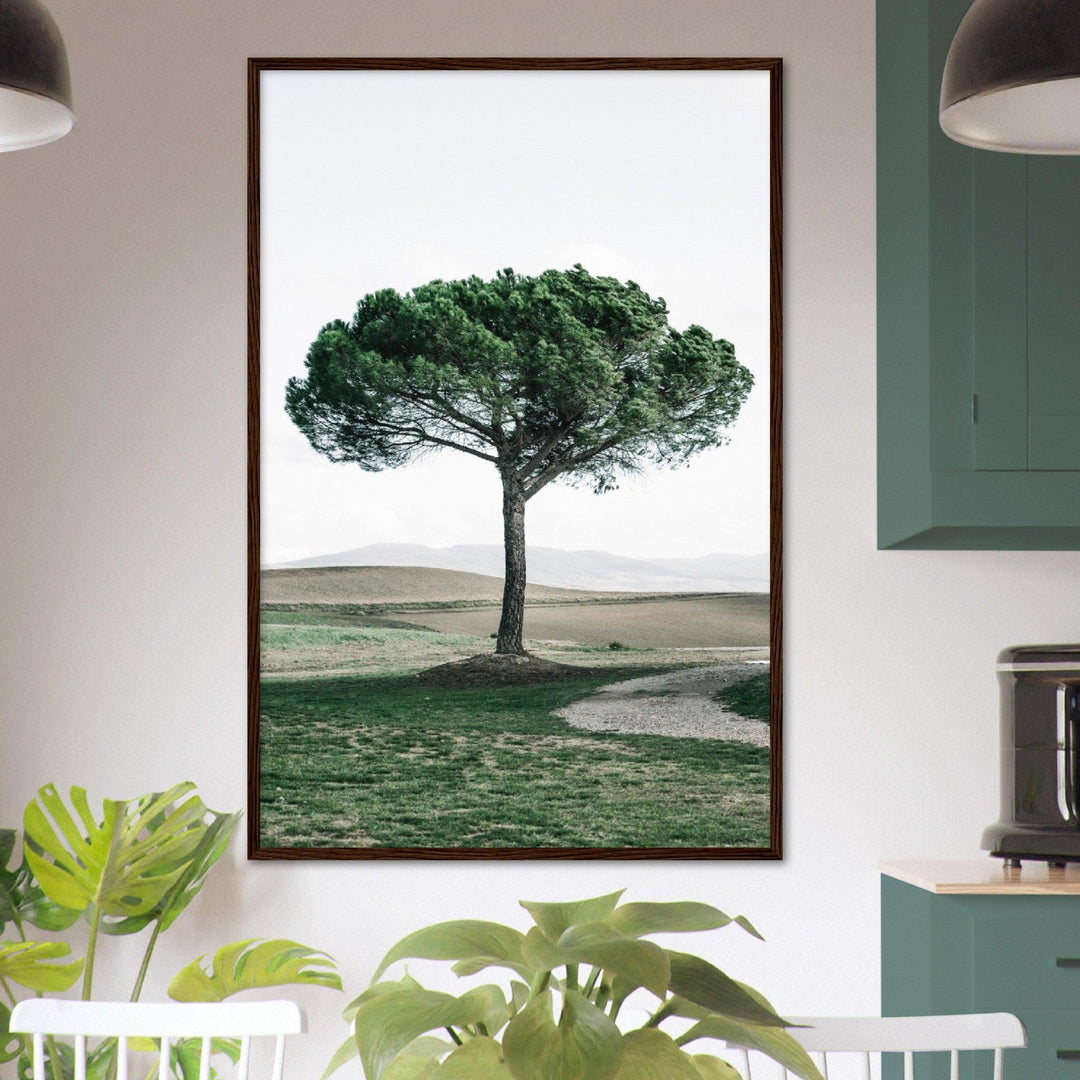 Baum Italien - Printree.ch baum