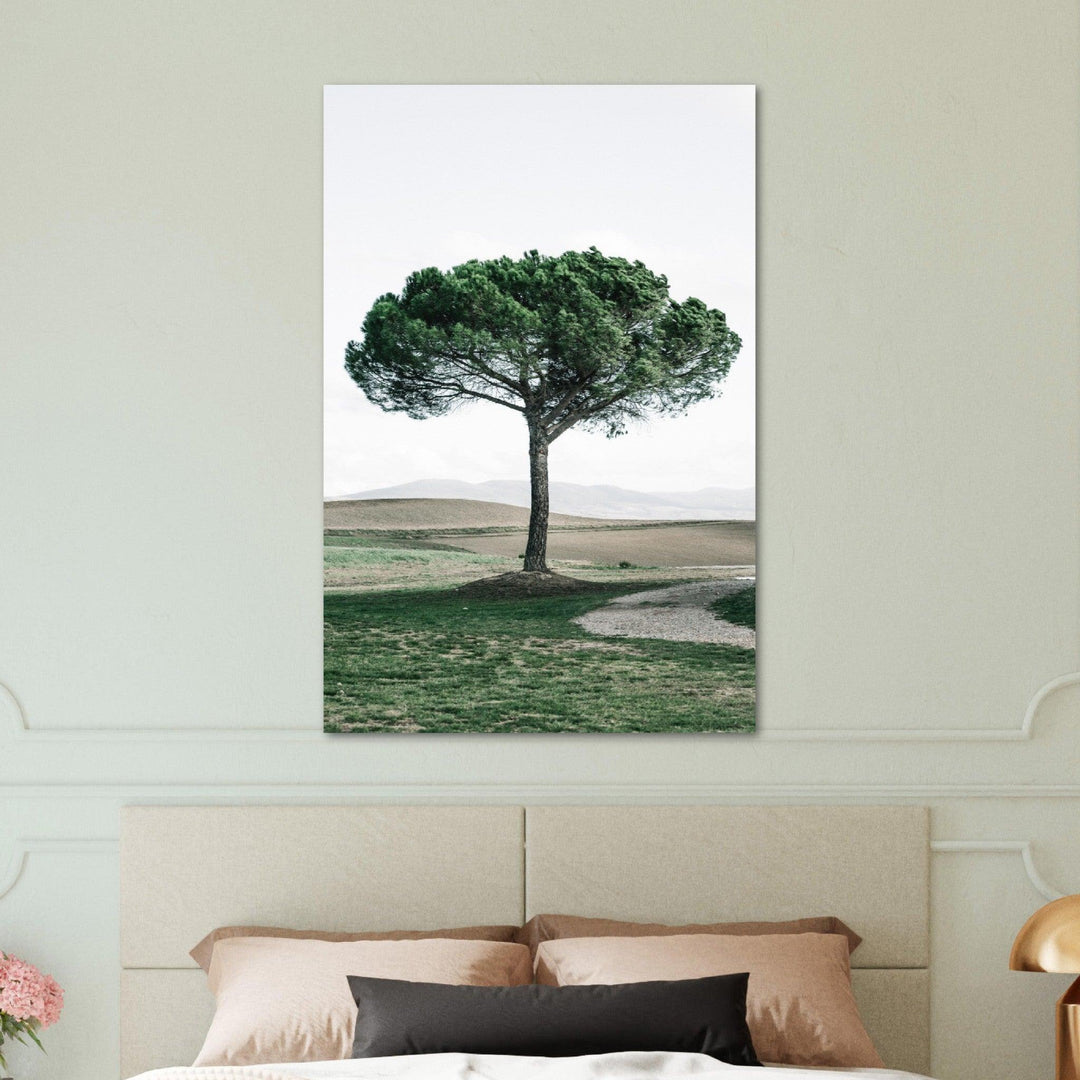 Baum Italien - Printree.ch baum