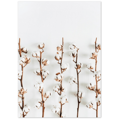 Baumwolle - Printree.ch Baumwolle, Einfachheit, Foto, Fotografie, Herbst, minimalistisch, minimalistischen Lebensstil, nachhaltig, Natur, natürliche Materialien, Pflanzenfaser, schlicht, Textilien, Weichheit