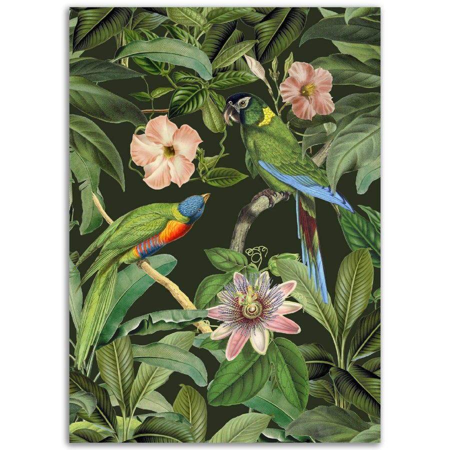 Dschungel Papageien Andrea Haase - Printree.ch Andrea Haase, Vertikal