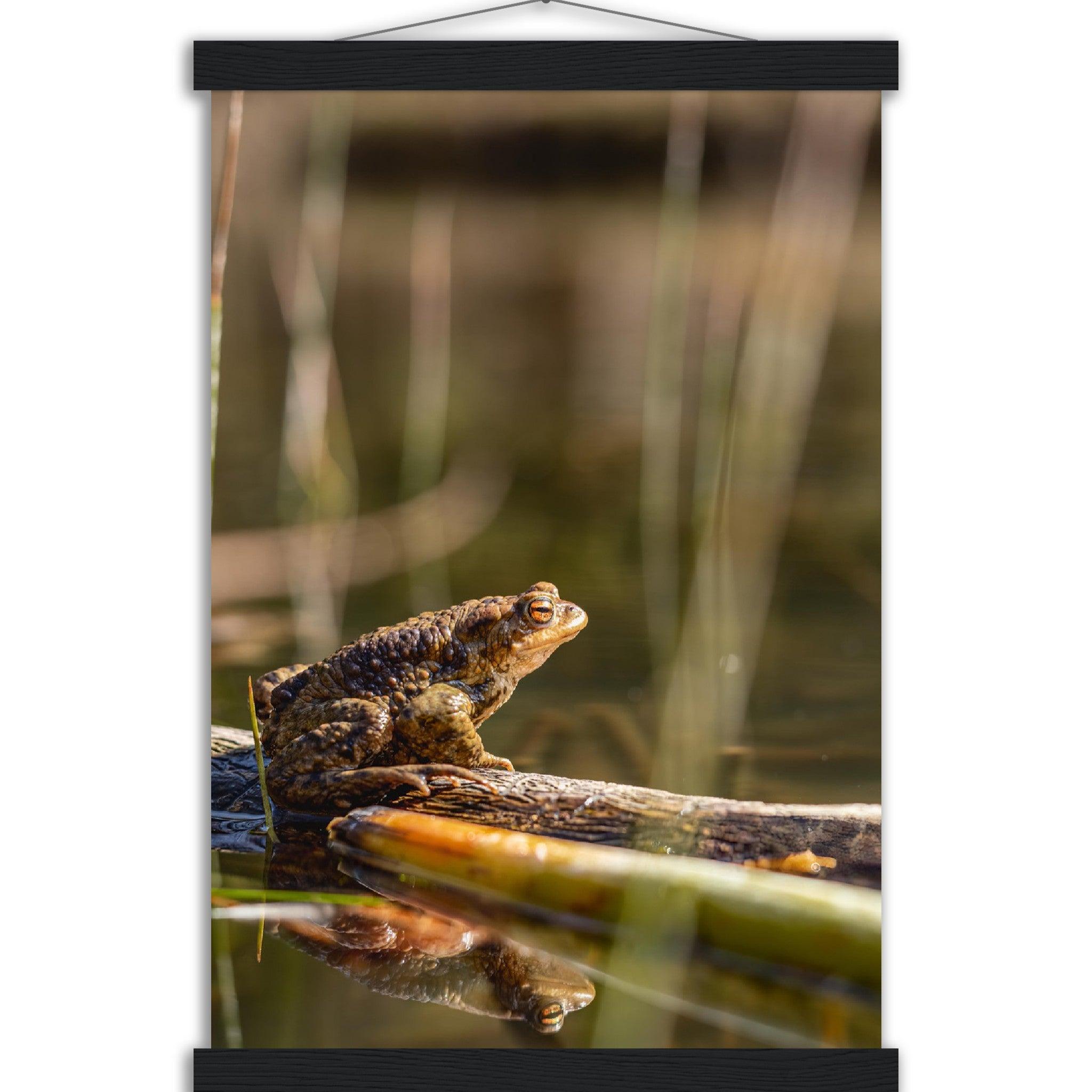 Erdkröte 4 - Printree.ch amphibisch, biologie, fauna, Foto, Fotografie, frosch, gemeinsam, kröte, makro, Martin_Reichenbach, nahaufnahme, natur, teich, tier, wild