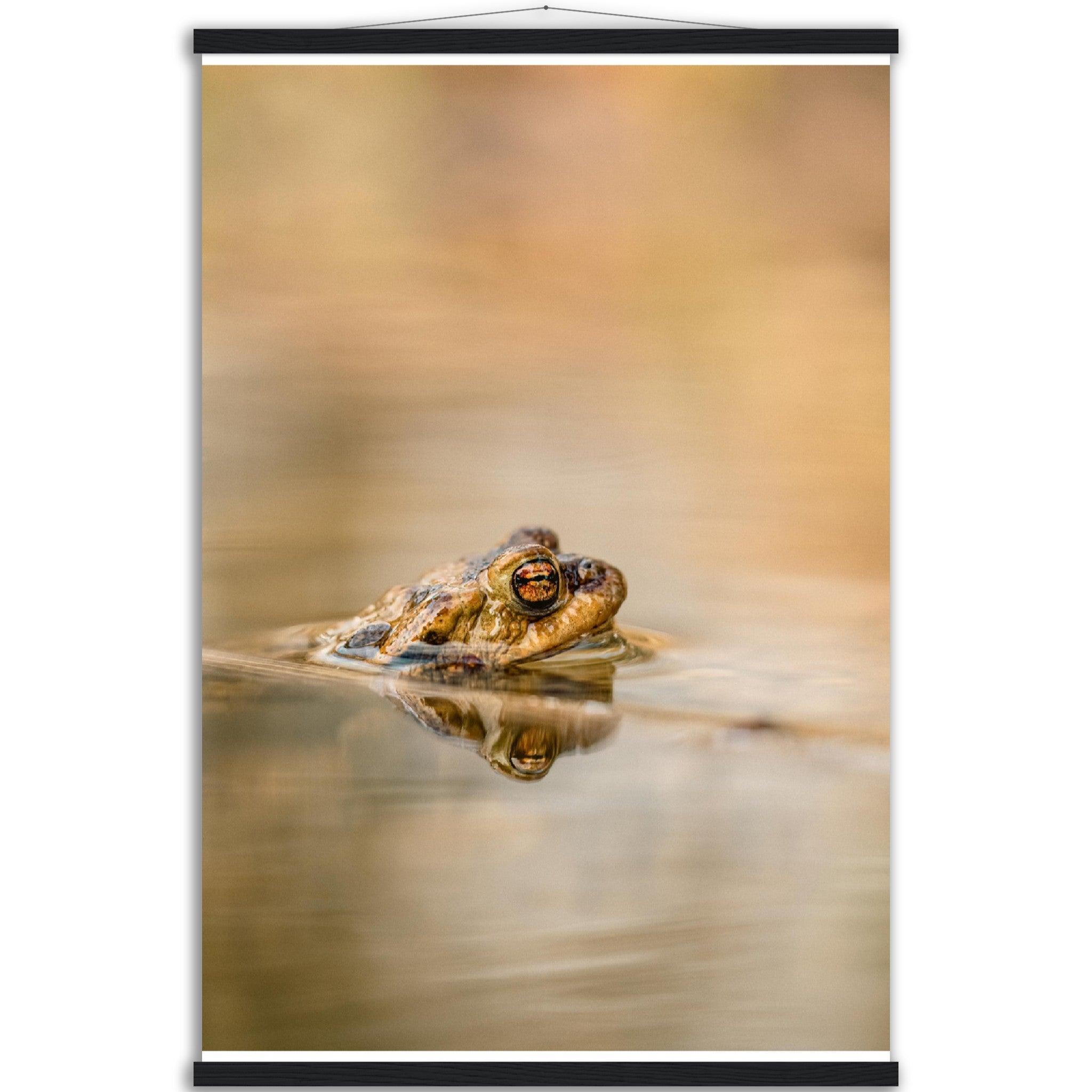 Erdkröte 5 - Printree.ch amphibisch, biologie, fauna, Foto, Fotografie, frosch, gemeinsam, kröte, makro, Martin_Reichenbach, nahaufnahme, natur, teich, tier, wild