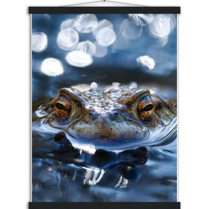 Erdkröte 6 - Printree.ch amphibien, amphibisch, arten, auge, biologie, bufo, ein, fauna, Foto, Fotografie, frosch, gemeinsam, herpetologie, kröte, makro, Martin_Reichenbach, nahaufnahme, natur, natürlich, pool, reflexion, schauen, teich, tier, umwelt, wasser, wild, wirbeltiere, zoologie