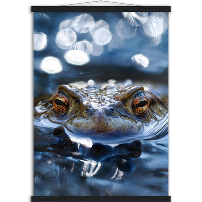 Erdkröte 6 - Printree.ch amphibien, amphibisch, arten, auge, biologie, bufo, ein, fauna, Foto, Fotografie, frosch, gemeinsam, herpetologie, kröte, makro, Martin_Reichenbach, nahaufnahme, natur, natürlich, pool, reflexion, schauen, teich, tier, umwelt, wasser, wild, wirbeltiere, zoologie