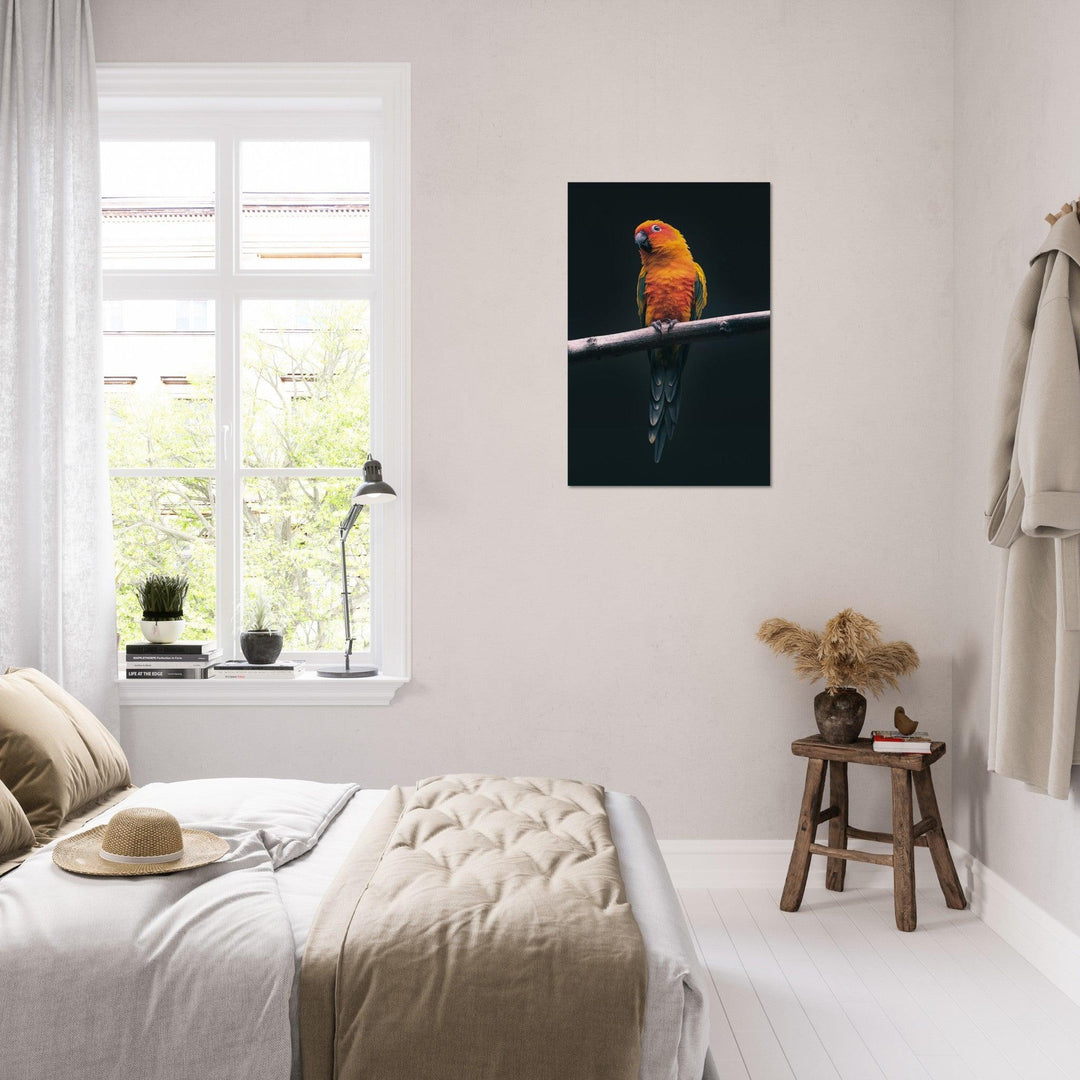 Exotischer Papagei - Printree.ch Foto, Tier, Unsplash
