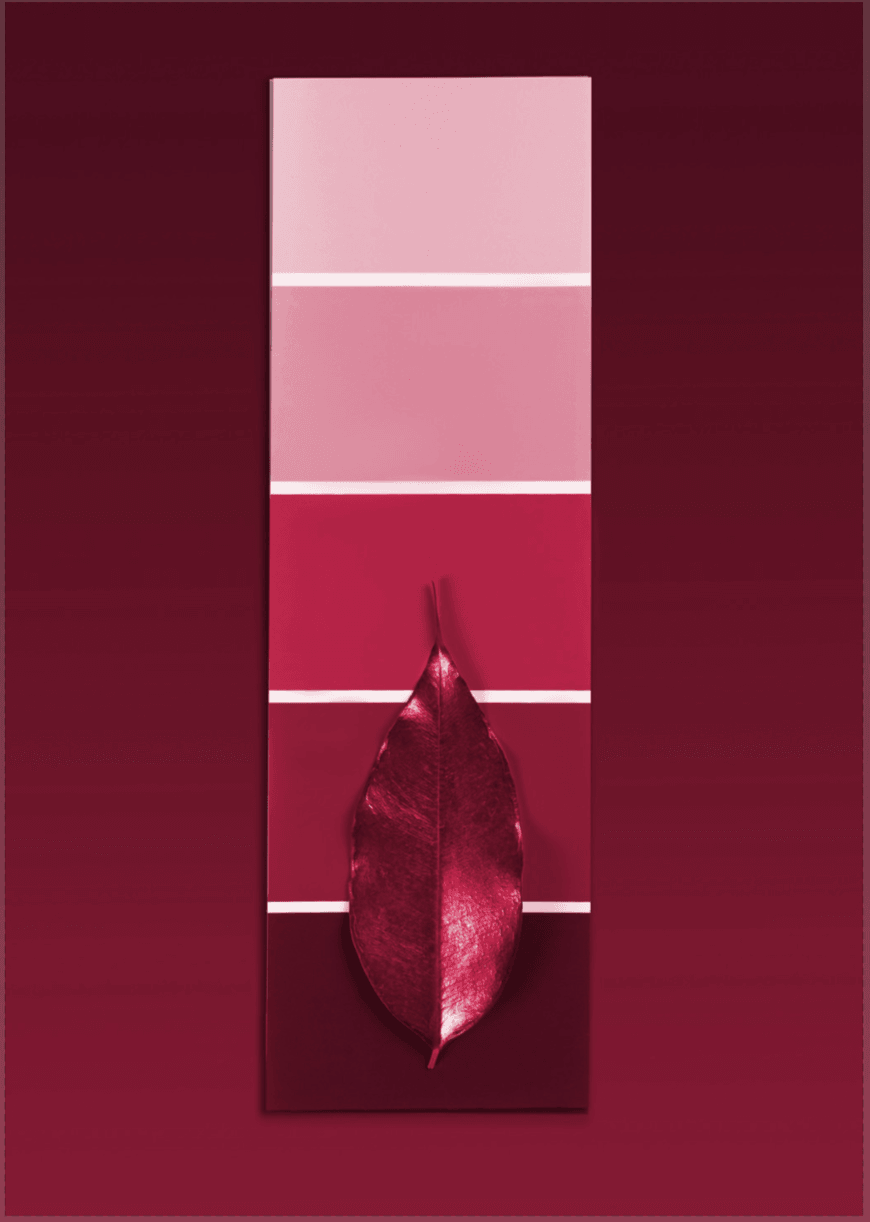 Farbwahl - Viva Magenta Red Trendfarbe für 2023 - Printree.ch Foto, Fotografie