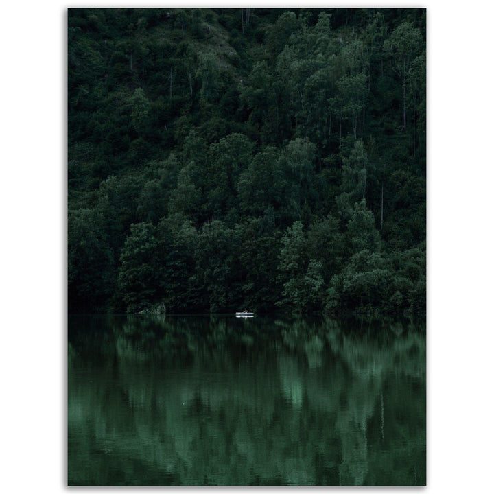 Frisches Grünes Poster - Printree.ch Foto, Fotografie, grün, Unsplash