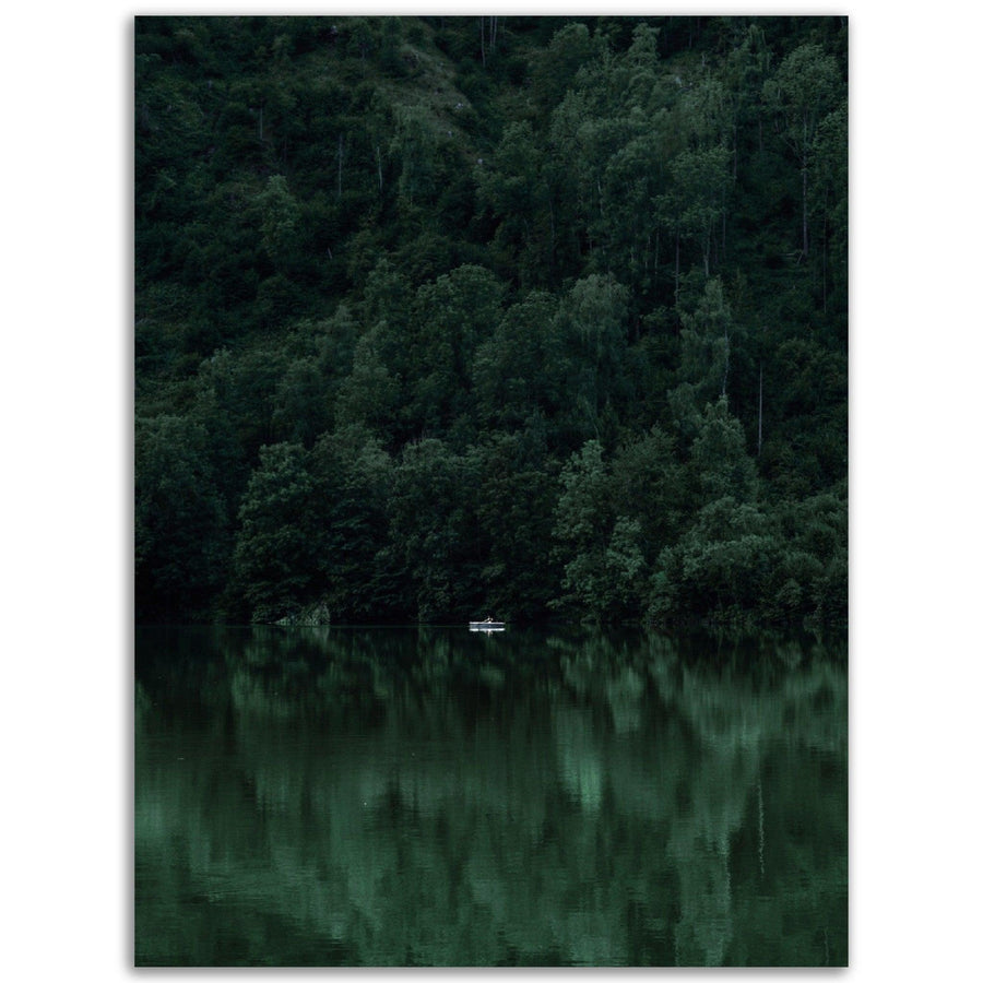 Frisches Grünes Poster - Printree.ch Foto, Fotografie, grün, Unsplash