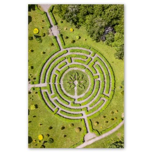 Garten-Labyrinth - Printree.ch aussen, Blatt, Blick, Busch, Dekoration, Design, Form, Formschnitt, Fotografie, Garten, Gartenarbeit, geometrisch, Gras, grün, Hecke, Hintergrund, im Freien, kultiviert, Labyrinth, Landschaft, Muster, Natur, Park, Pflanze, Stil, Symmetrie, verloren, Wand, Weg, Zierpflanze