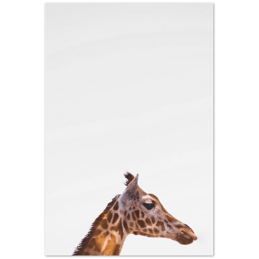 Giraffe - Printree.ch Foto, Fotografie, Giraffe, Minimal, Portrait Tier, Tier, Wildtiere