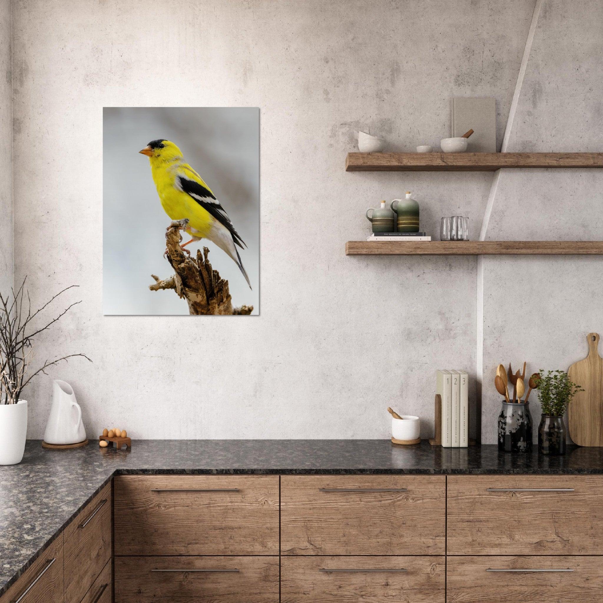 Goldene Natur Poster - Printree.ch Foto, Fotografie, gelb, Unsplash