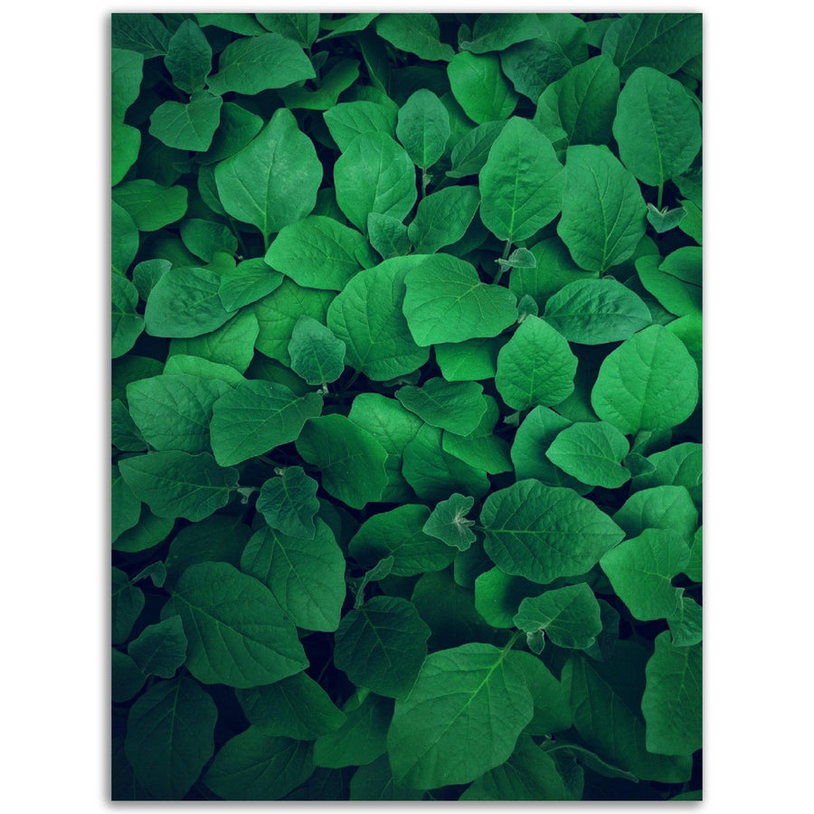 Grüne Blätter - Printree.ch grün