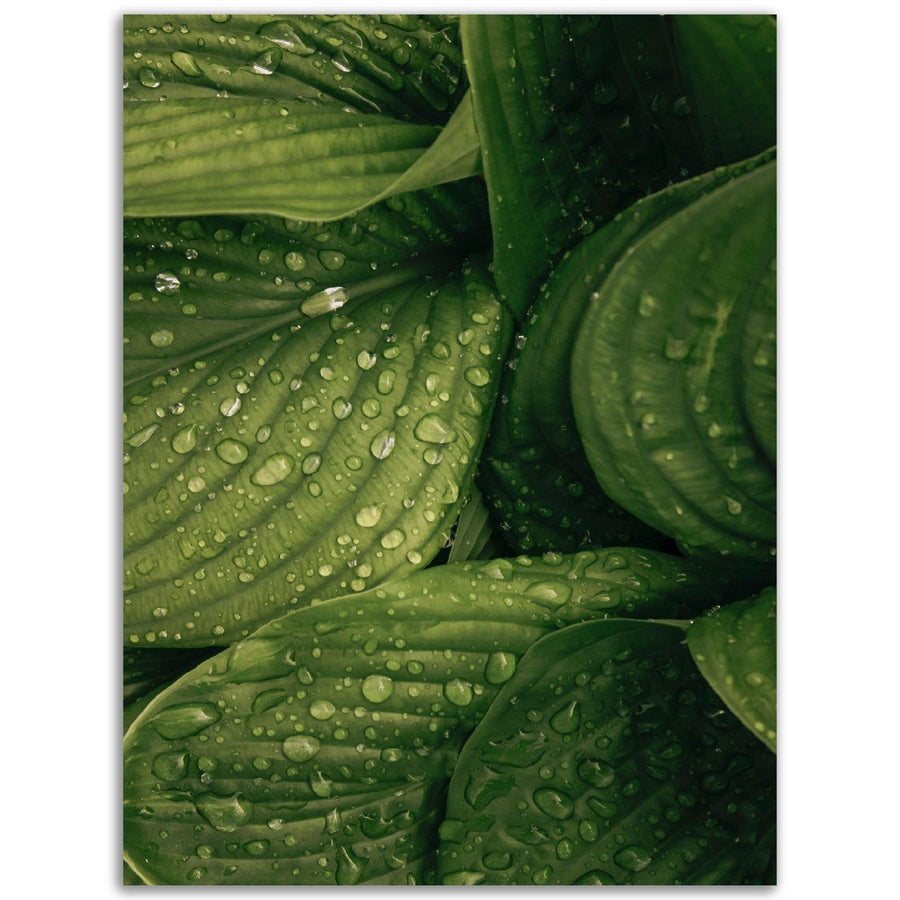 Grüne Blätter - Printree.ch grün
