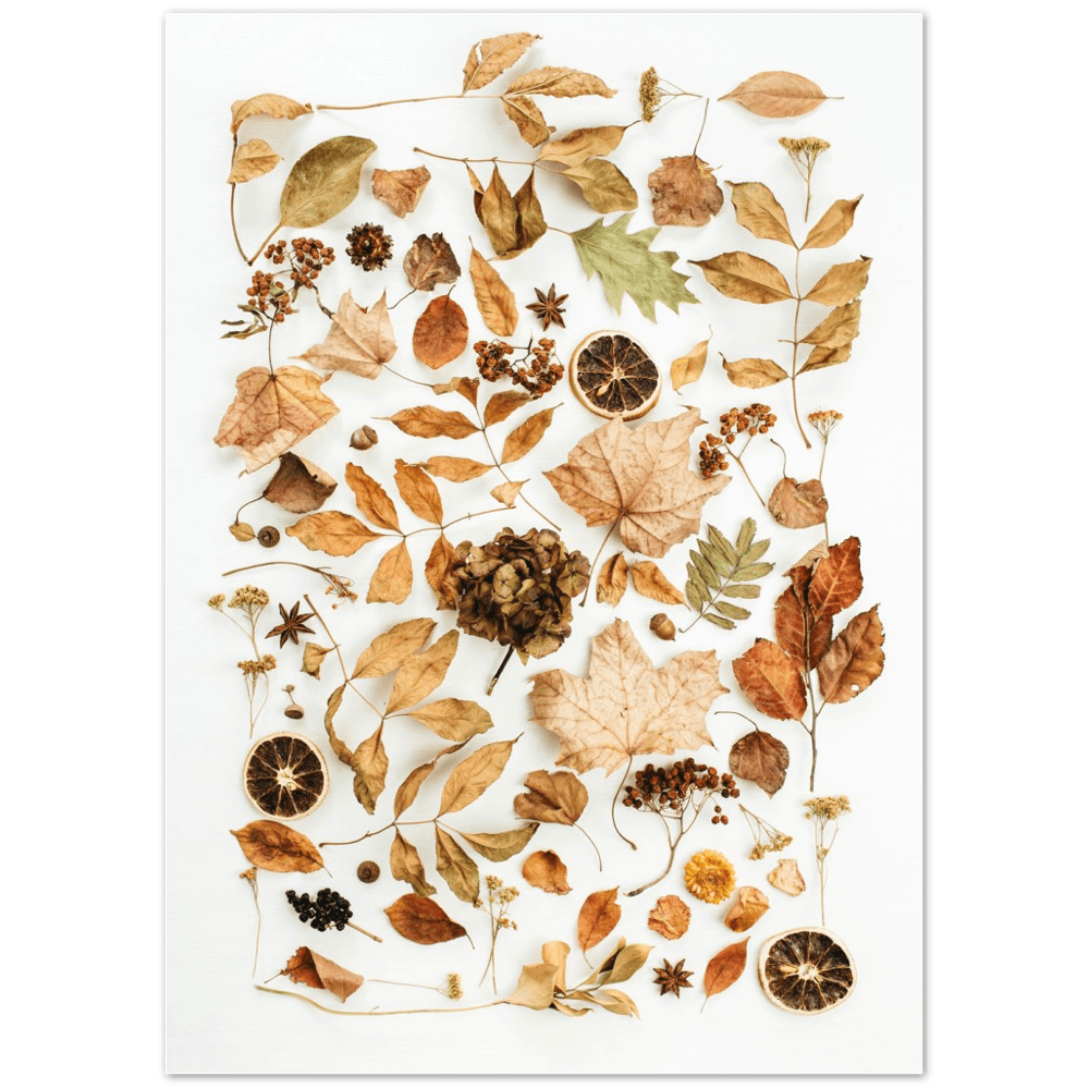 Herbstzauber-Fotokollektion - Printree.ch abstrakt, ahorn, blatt, blume, dekor, dekoration, Foto, Fotografie, gelb, Herbst, herbstlich, hintergrund, Illustration, isoliert, jahreszeit, karte, laub, muster, natur, november, oktober, orange, pflanze, rahmen, rand, rot, schön, textur, vektor, vintage, weiss