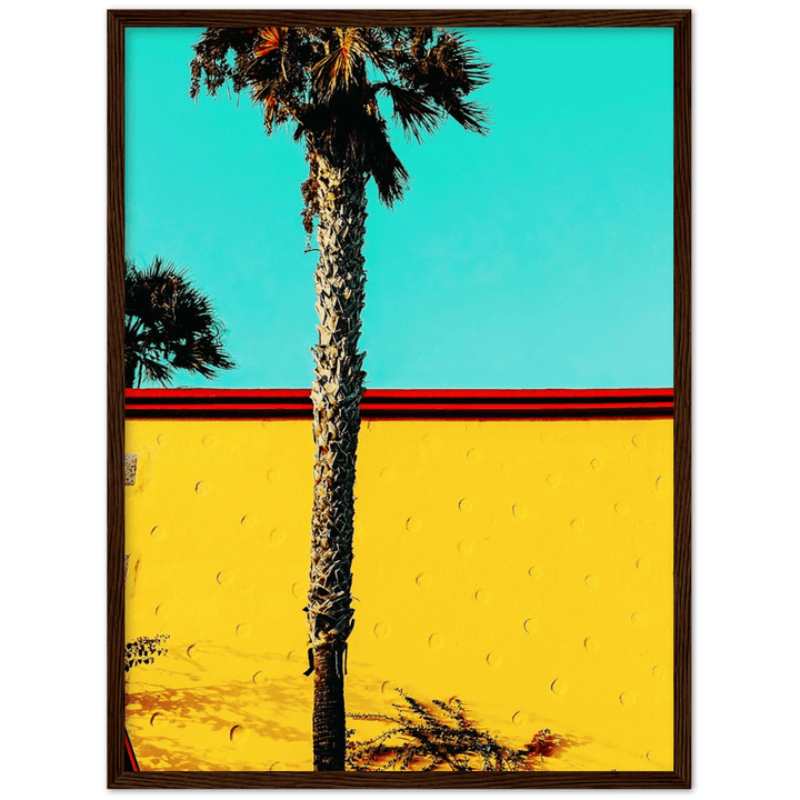 Palme minimalistischer Lifestyle - Printree.ch Foto, Fotografie, gelb, Minimal, minimalistisch, minimalistischen Lebensstil, Palme, palmen
