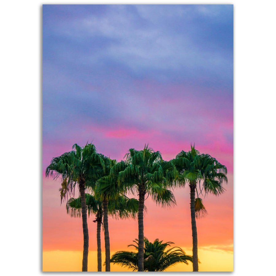 Palmen im Sonnenuntergang - Printree.ch baum