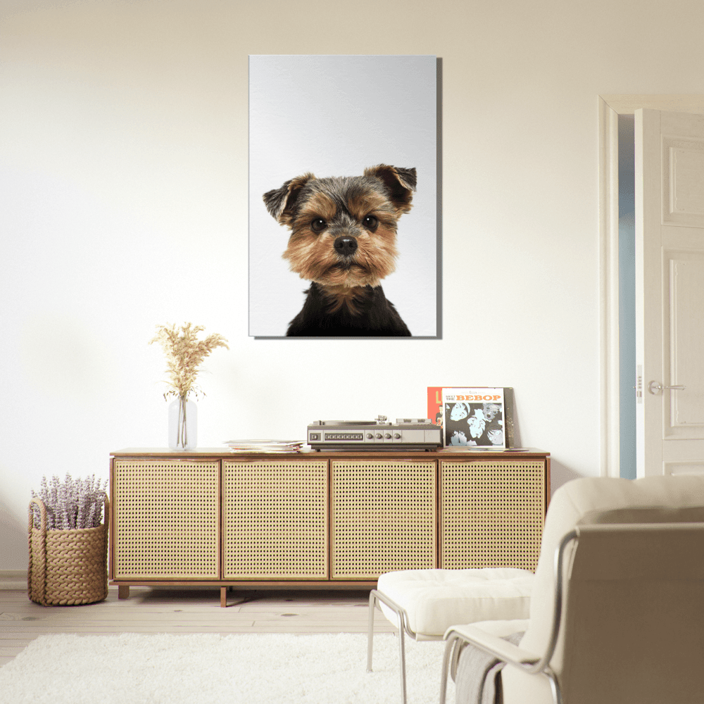 Portrait Yorkshire Terrier - Printree.ch bezaubernd, braun, ein, haar, haustier, hintergrund, hund, hunde, häuslich, hübsch, isoliert, jung, kamera, klein, niedlich, porträt, rasse, reinrassig, schauend, schuss, schwarz, stammbaum, studio, terrier, tier, weiß, welpe, wenig, yorkie, yorkshire