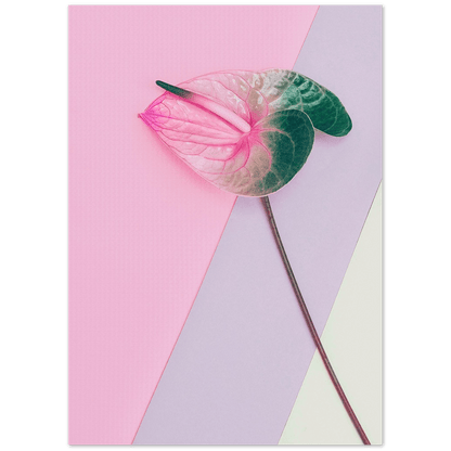 Rosa Blume minimalistischer Lifestyle - Printree.ch Blume, Blumen, blühend, Blüte, Blütenblatt, Feier, florale Ästhetik, floraler Hintergrund, Frühling, Garten, Geschenk, Heimgärtnern, Heimpflanze, Hintergrund, Hochzeit, Hortensie, Hortensienblüte, Natur, Pflanze, Romantik, romantisch, rosa, rosa Glas, rosa Vase, schön, Sommer, Strauss, ästhetisch