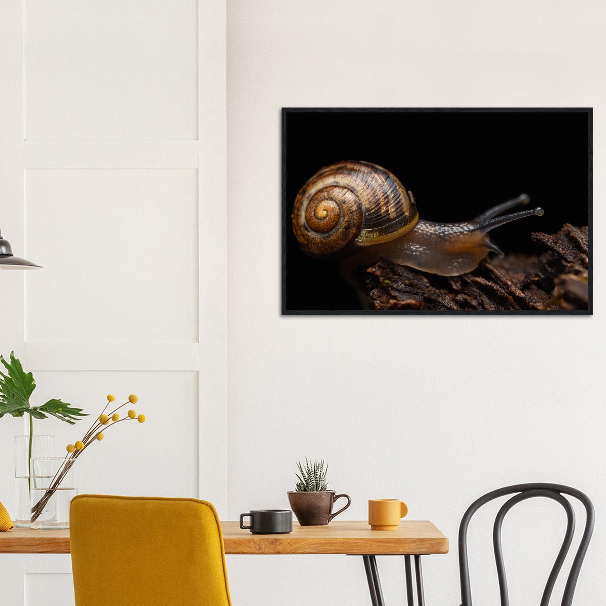 Schnecke - Printree.ch Foto, Fotografie, insekt, Macro, Makro, Martin_Reichenbach, Poster