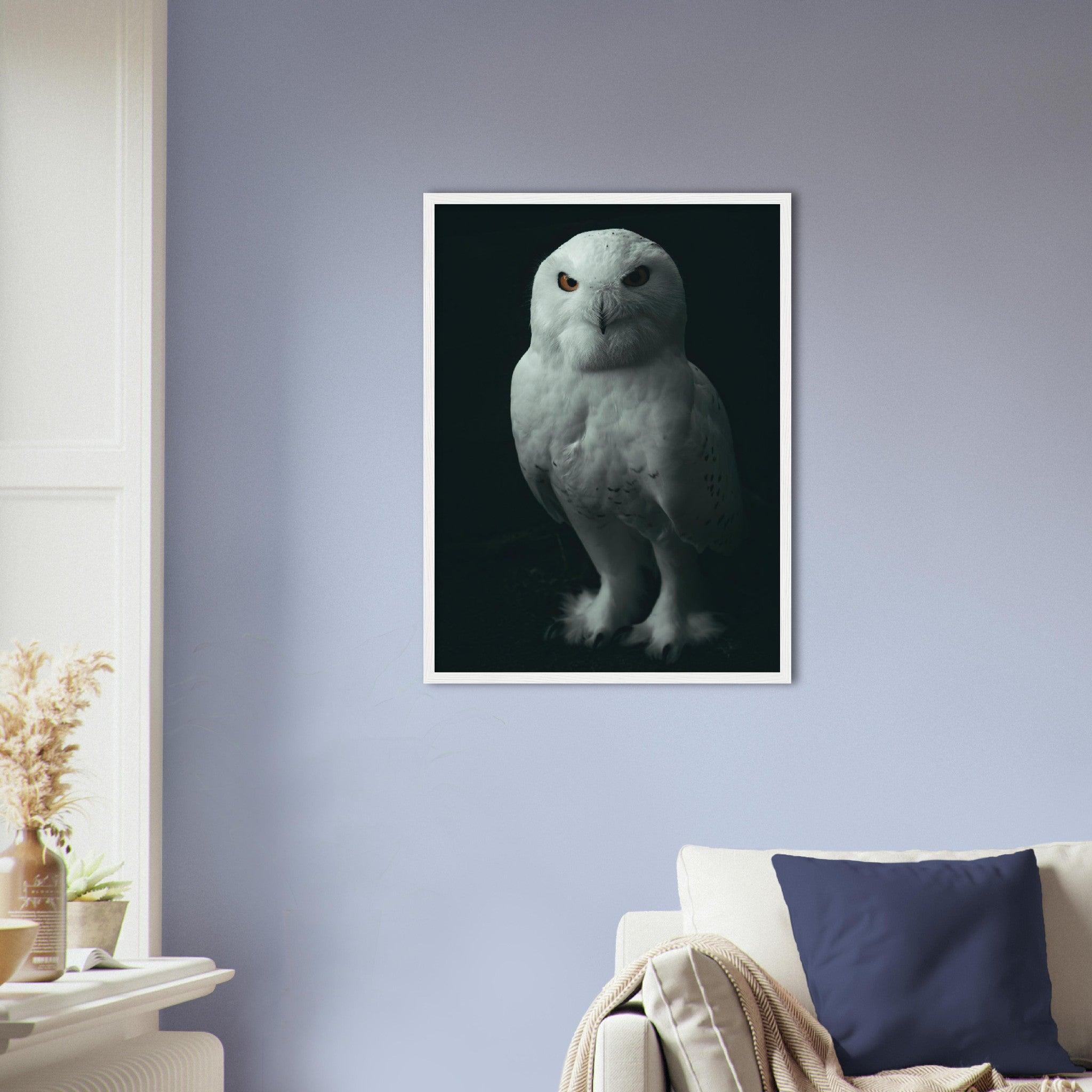 Schneeeule - Printree.ch Fotografie, Portrait Tier, Tier, Tiere, Wildtiere