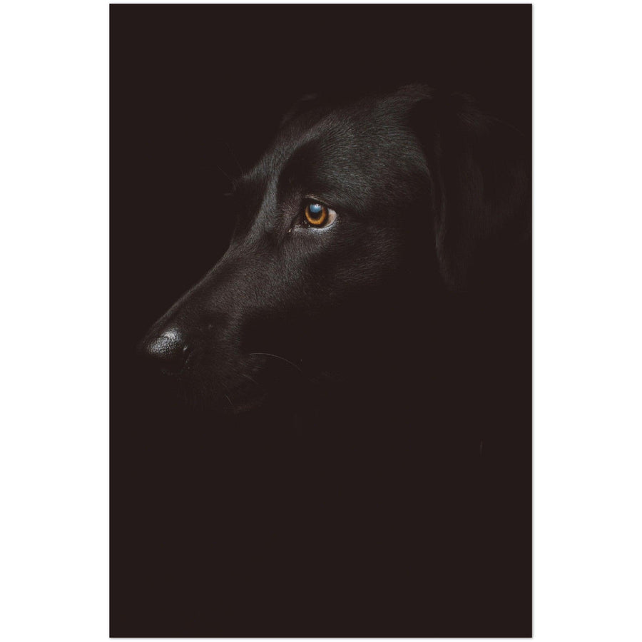 Schwarzer Hund Poster - Printree.ch Foto, Tier, Unsplash