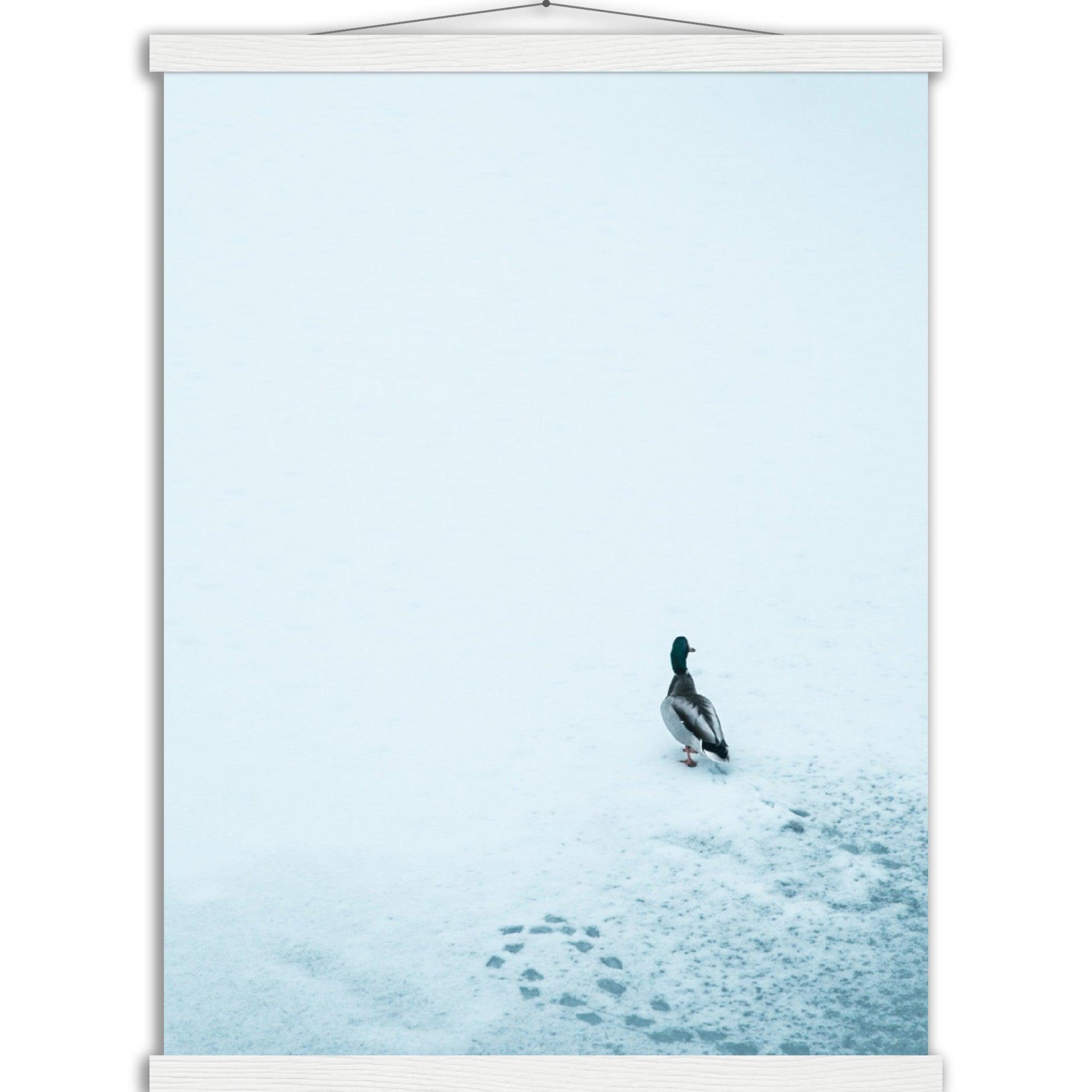 Tierwelt-Print: "Schneezauber" - Printree.ch Foto, Fotografie, Tier, Tiere, Tierthemen, Unsplash, Wildtiere