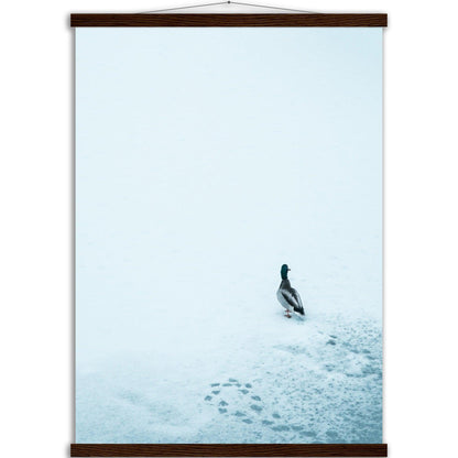 Tierwelt-Print: "Schneezauber" - Printree.ch Foto, Fotografie, Tier, Tiere, Tierthemen, Unsplash, Wildtiere