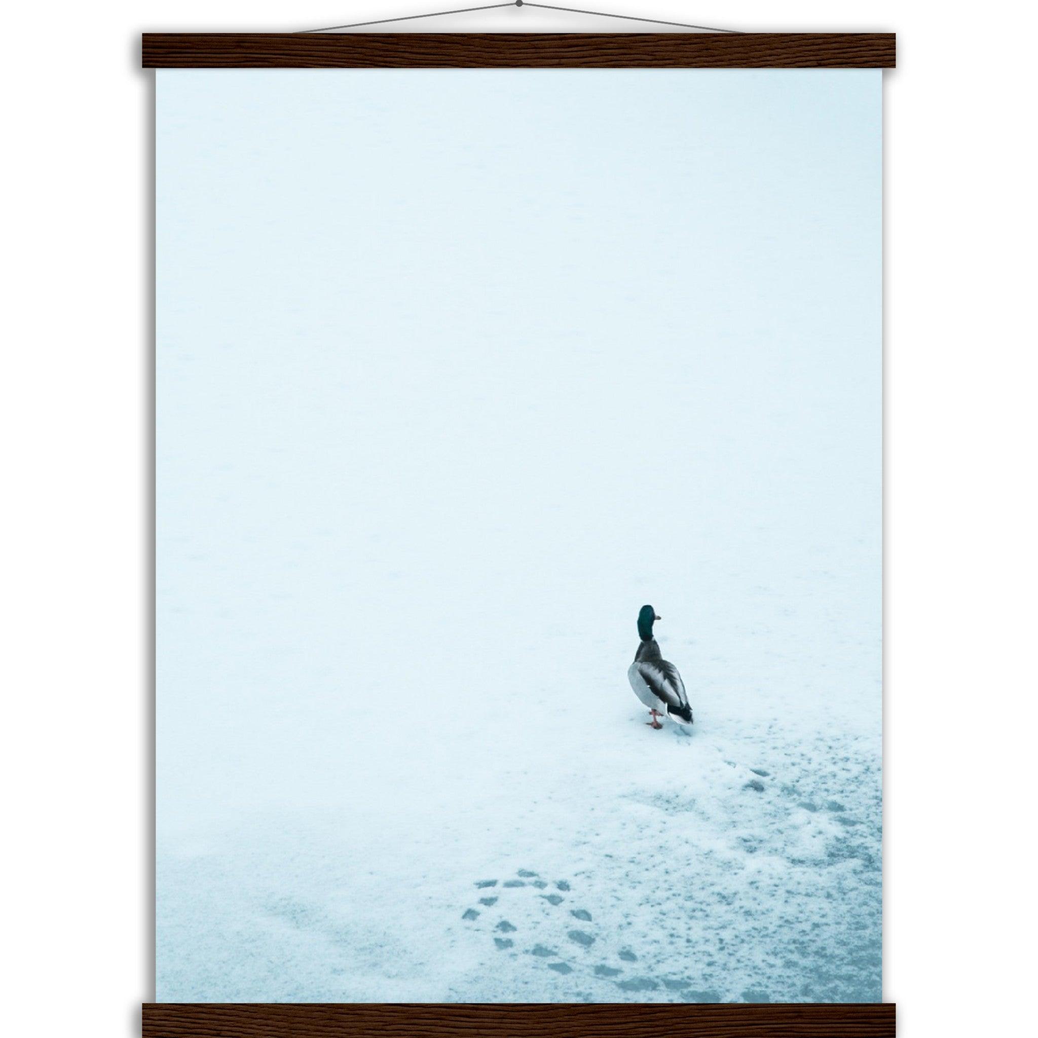 Tierwelt-Print: "Schneezauber" - Printree.ch Foto, Fotografie, Tier, Tiere, Tierthemen, Unsplash, Wildtiere