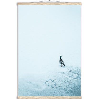 Tierwelt-Print: "Schneezauber" - Printree.ch Foto, Fotografie, Tier, Tiere, Tierthemen, Unsplash, Wildtiere