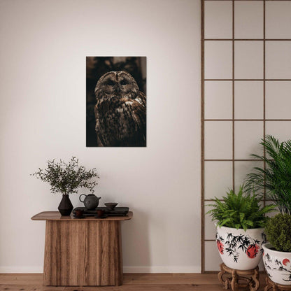 Waldkauz Poster - Printree.ch Foto, Fotografie, Portrait Tier, Tier, Tiere, Unsplash, Wildtiere