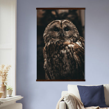 Waldkauz Poster - Printree.ch Foto, Fotografie, Portrait Tier, Tier, Tiere, Unsplash, Wildtiere