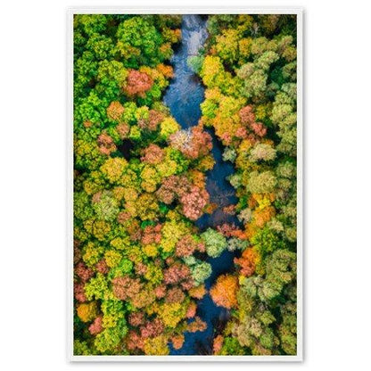 Wasserlauf - Printree.ch Baum, Berg, Blick, Bäume, Drohne, Fotografie, grün, Hintergrund, Holz, im Freien, Kiefer, Landschaft, landschaftlich, Luftaufnahme, ländlich, Natur, natürlich, oben, Panorama, Pflanze, Reise, Saison, schön, Sommer, Strasse, Umwelt, Wald, Ökologie