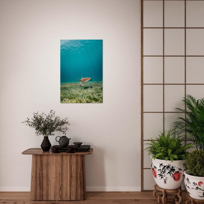 Wasserwelt Poster - Printree.ch Foto, Tier, Unsplash