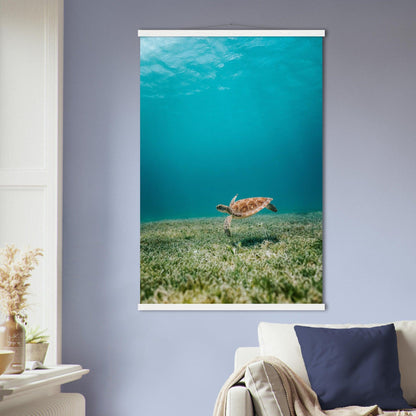 Wasserwelt Poster - Printree.ch Foto, Tier, Unsplash