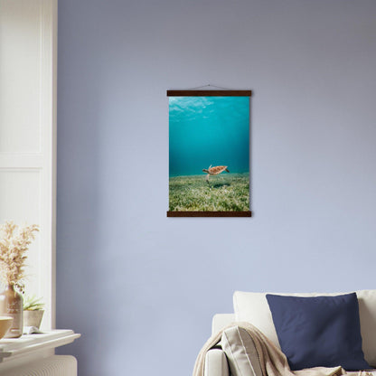 Wasserwelt Poster - Printree.ch Foto, Tier, Unsplash