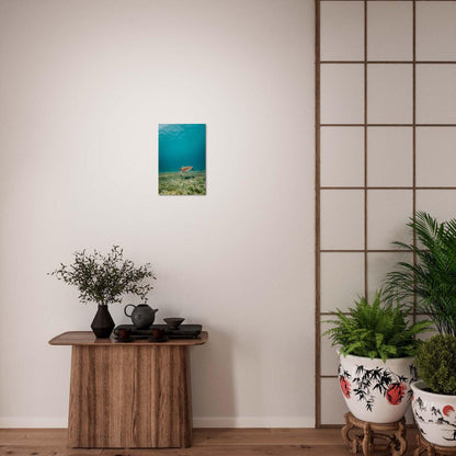 Wasserwelt Poster - Printree.ch Foto, Tier, Unsplash