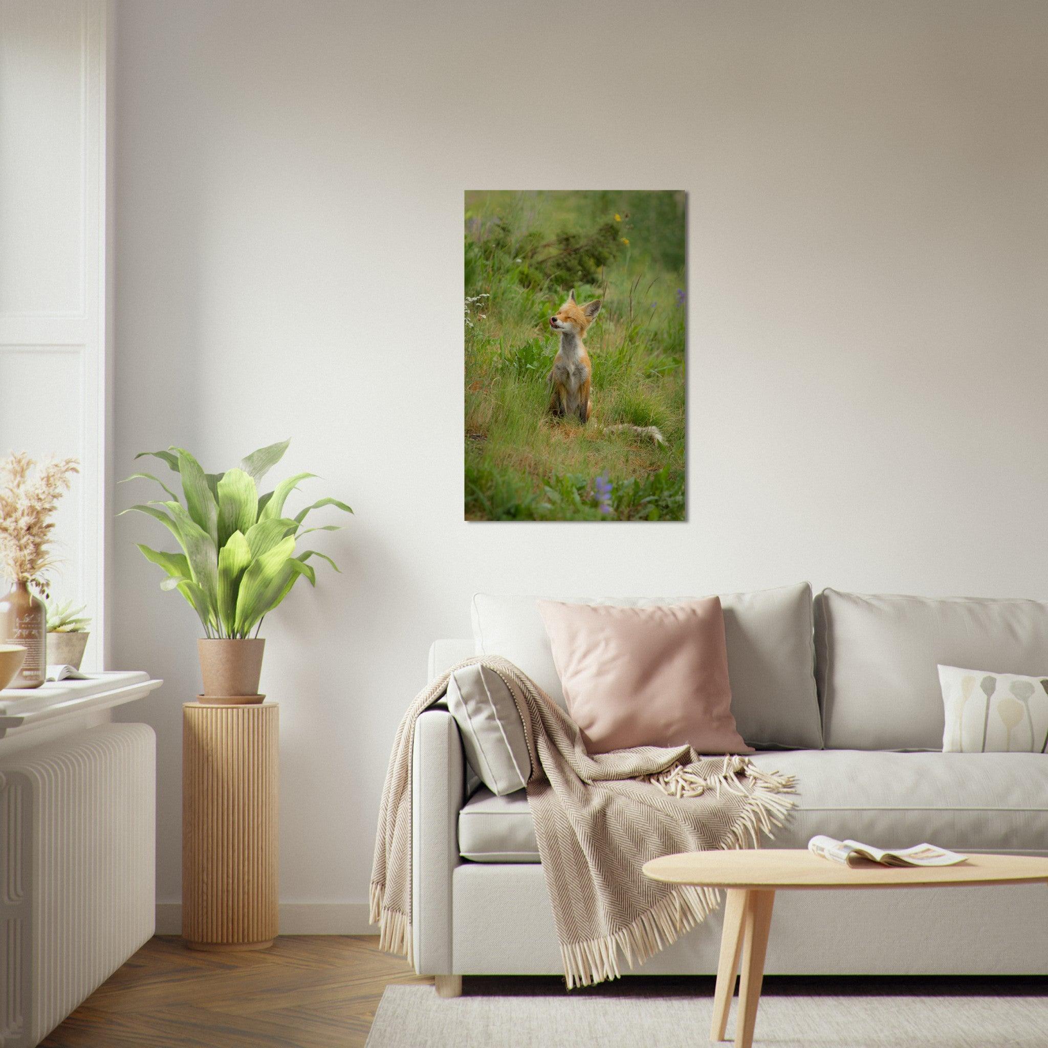 Wildnis Poster - Printree.ch Foto, Tier, Unsplash