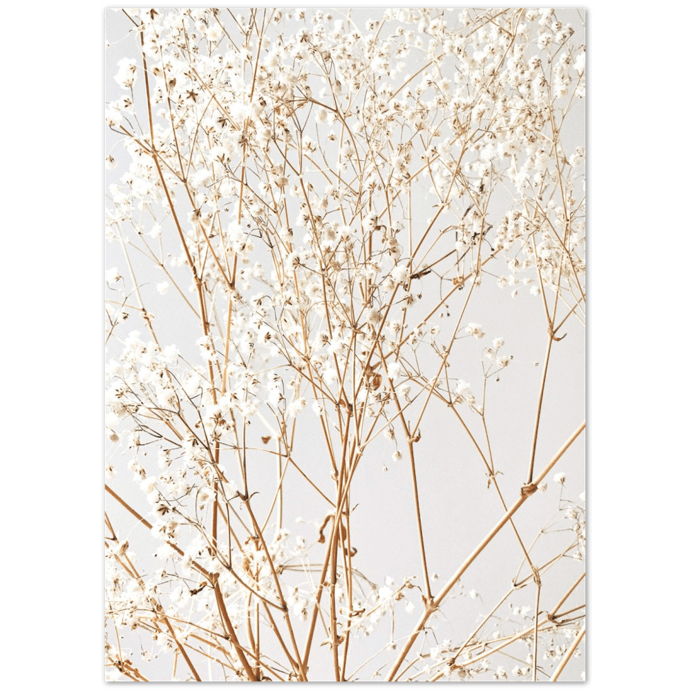 Zweige - Printree.ch Baum, Botanik, Dekoration, Foto, Fotografie, Herbst, Herbststimmung, minimalistischen Lebensstil, Natur, Pflanzen, Zweigarrangement, Zweige, Äste